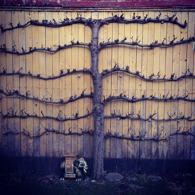 Trivsel og sundhed illustration